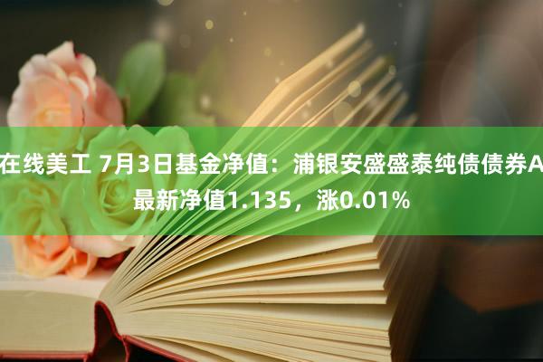 在线美工 7月3日基金净值：浦银安盛盛泰纯债债券A最新净值1.135，涨0.01%