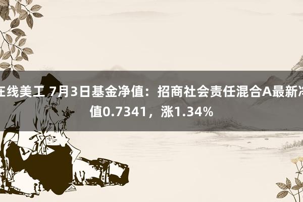 在线美工 7月3日基金净值：招商社会责任混合A最新净值0.7341，涨1.34%