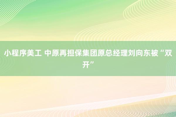 小程序美工 中原再担保集团原总经理刘向东被“双开”