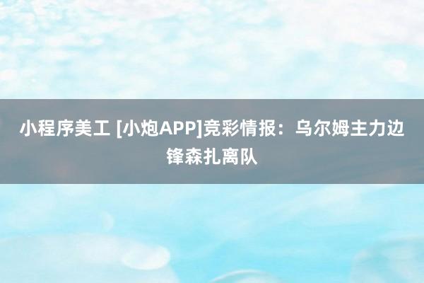 小程序美工 [小炮APP]竞彩情报：乌尔姆主力边锋森扎离队