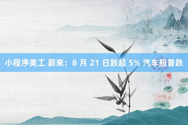 小程序美工 蔚来：8 月 21 日跌超 5% 汽车股普跌