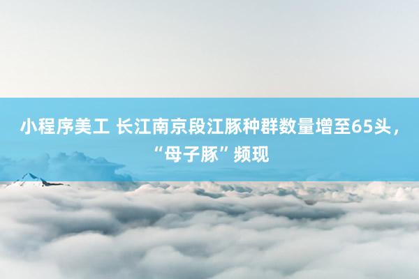 小程序美工 长江南京段江豚种群数量增至65头，“母子豚”频现